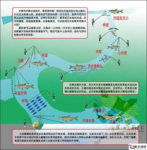 夏日狂想曲怎么钓鱼 钓鱼方法与地点介绍