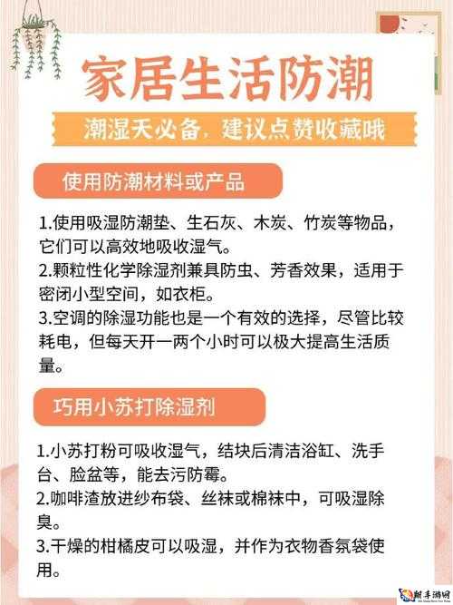 喷潮湿怎么办到的方法揭秘：快速解决潮湿问题的小妙招来了