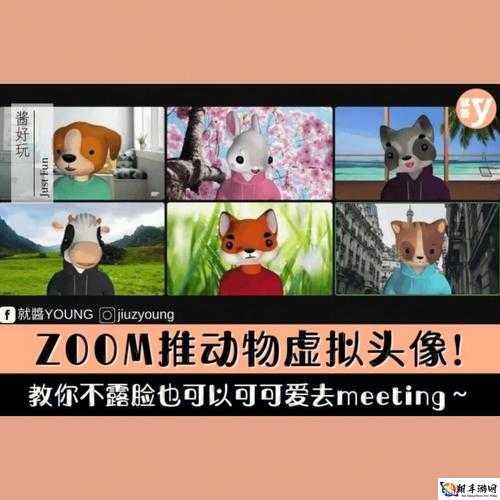 美国 ZOOM 动物 ZOOM 之趣闻逸事