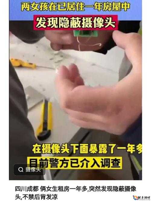 蘑菇爆料黑网：深挖网络黑幕，揭露背后真相