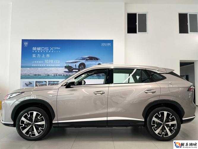 497799 欧洲版国产 SUV：畅享极致驾乘体验