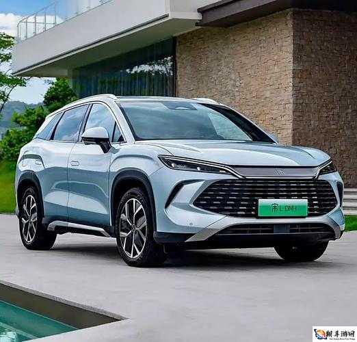 国产又大又便宜的 SUV：这些车型值得一看