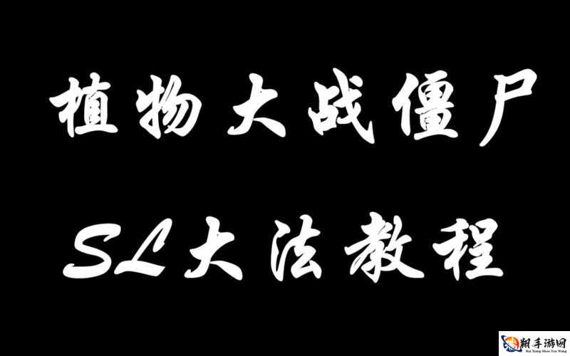 SL大法是什么意思？