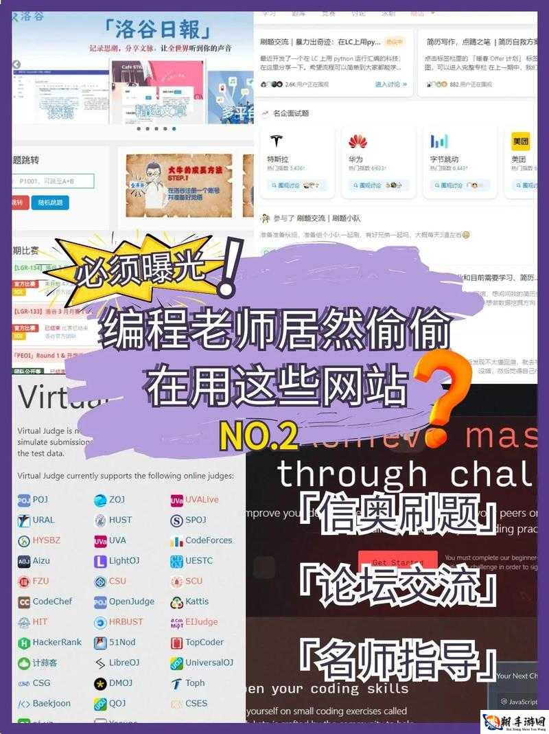 可以直接进入的网站的代码怎么获取之探秘