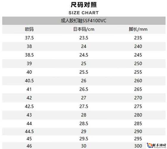 振奋-欧洲尺码日本尺码专线 优质选择