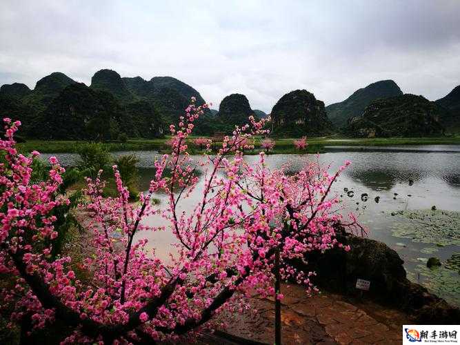 一处桃源千人品两片红唇万客来的桃源秘境：人间胜景