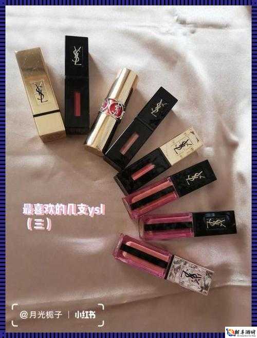 ysl 千人千色 t9t9t9t9t9-魅力之选