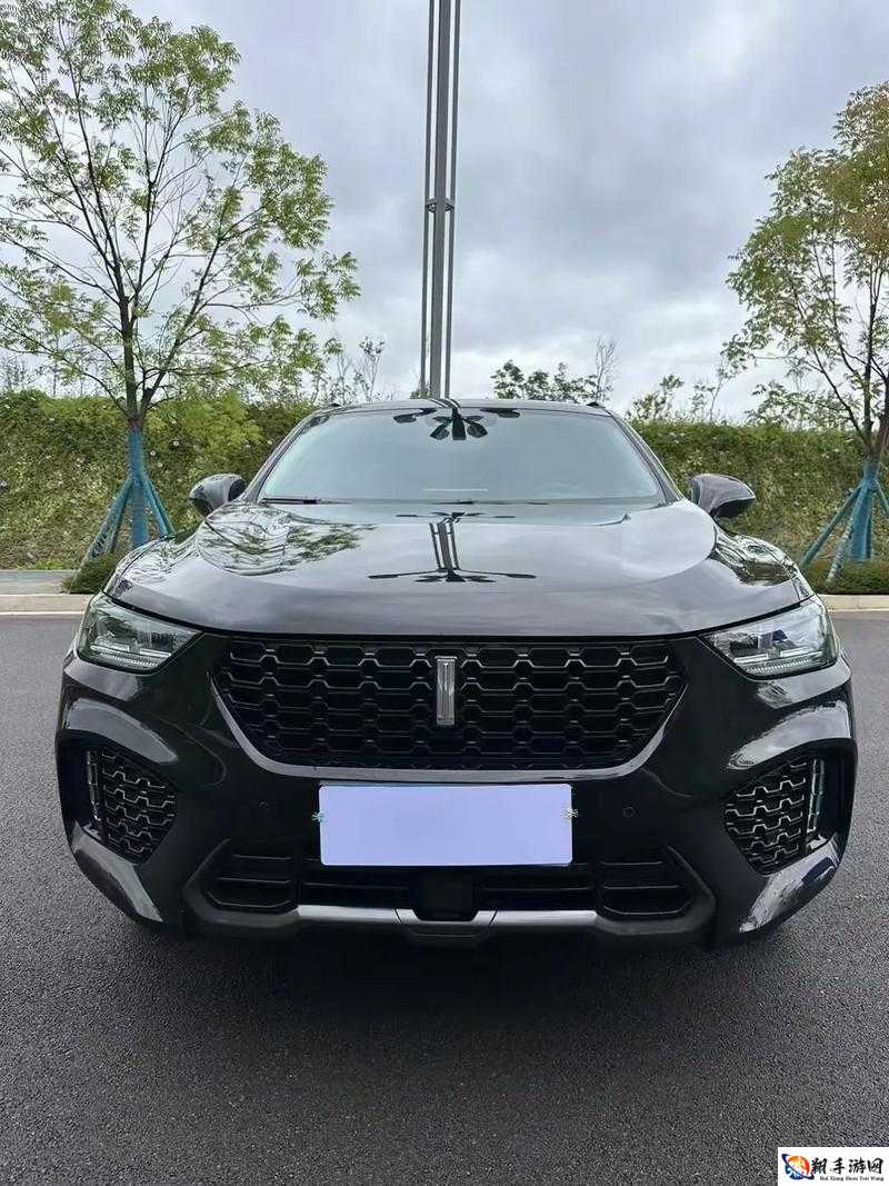 WEY VV5 国产 SUV，智能豪华超感座驾