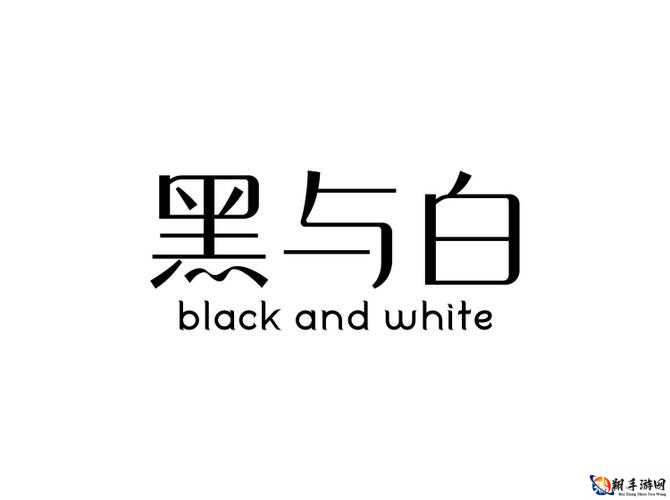 THEWHITEBOX 精选黑与白的独特魅力