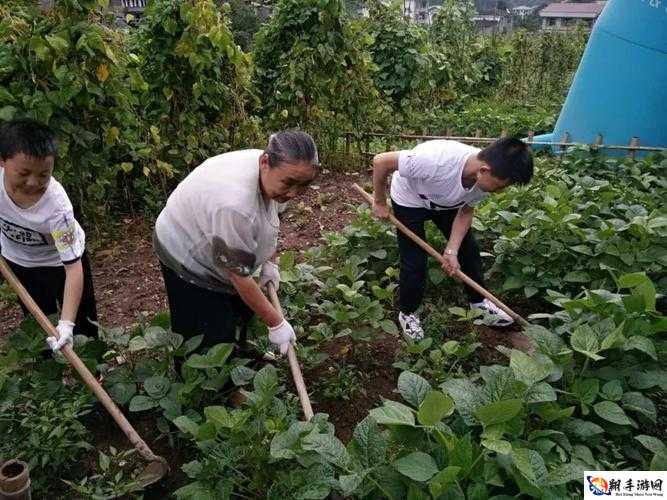 儿子耕种母亲田 诠释亲情与责任