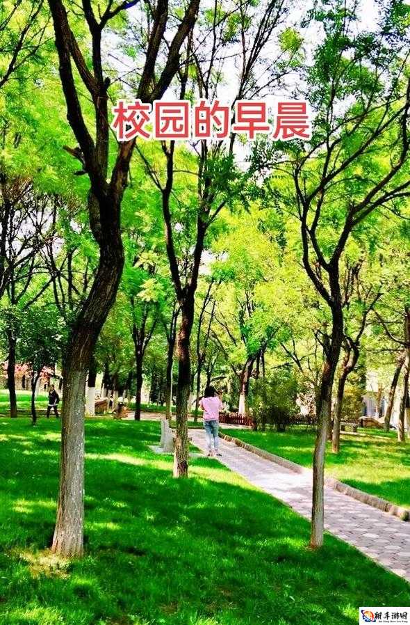 朝阳初升校园 11h：充满希望的一天开始