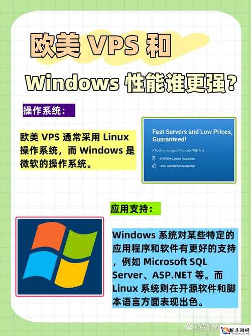 欧美 VPS WINDOWSHD 性能及优势探讨