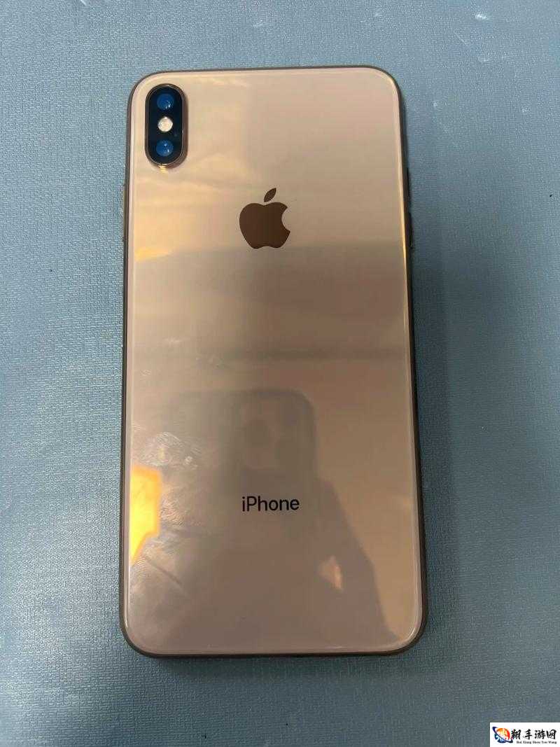 iPhone XS Max 在日本：销售与使用情况