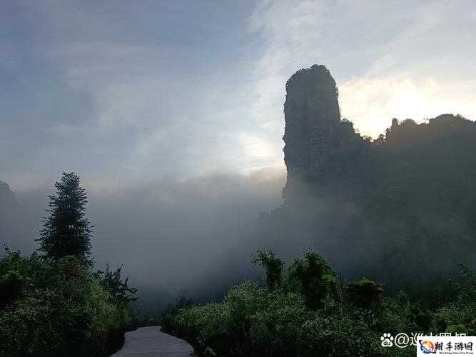 老王头的春天：林初晴最火的一句