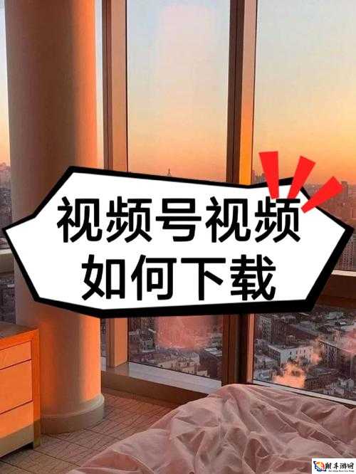 成品禁用免费看短视频下载：注意事项