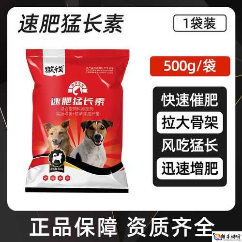 狗狗猛涨精肉狗大壮增肥增食欲：这样喂养就对了