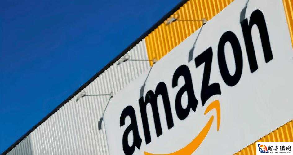 AMAZON 欧洲站和日本站：跨境电商新机遇