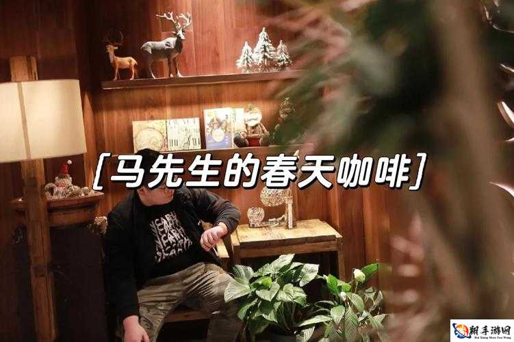 老马的春天顾晓婷每周几更新