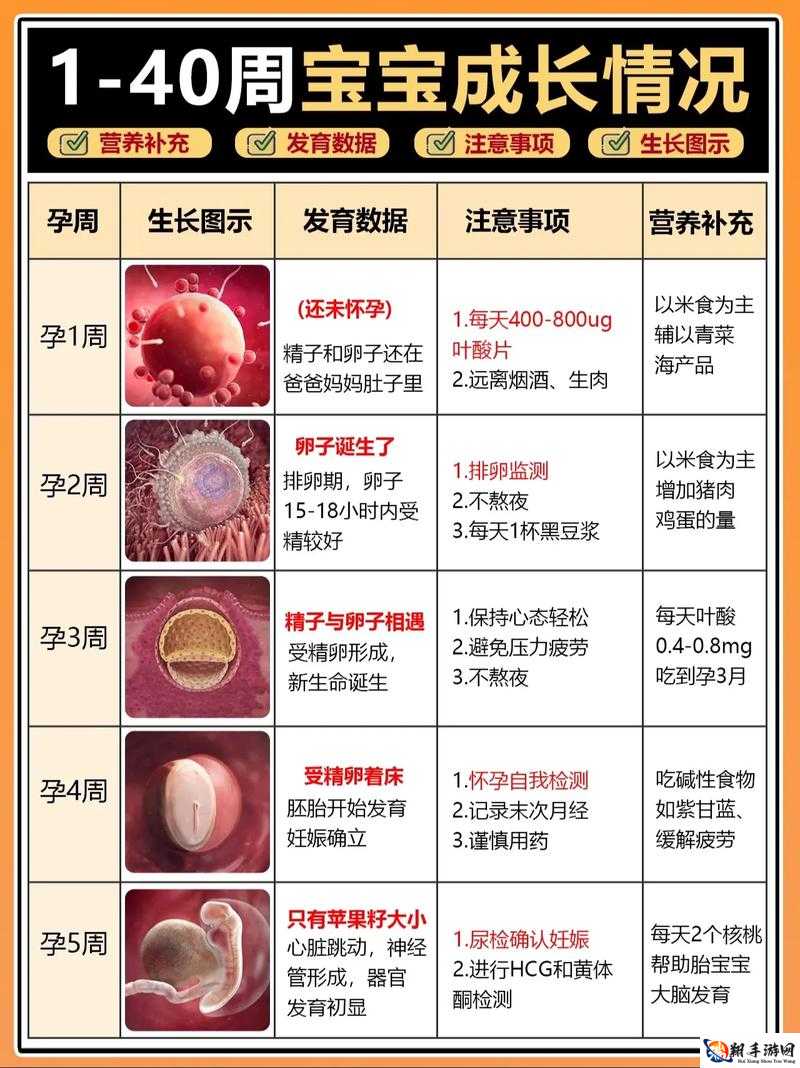 授精记 1-21H 最火的那句：探索奇妙的孕育之旅