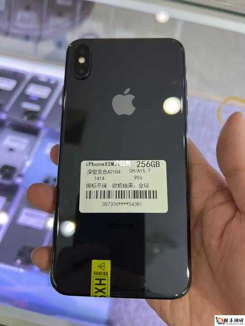 IPHONEXSMAX 欧美高级已修复情况说明